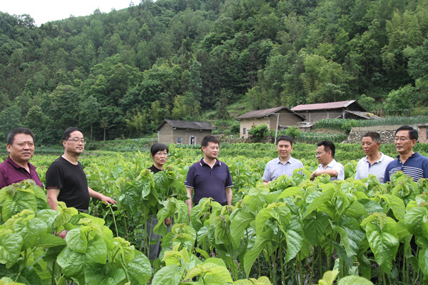 安康市商務(wù)局領(lǐng)導(dǎo)來我公司調(diào)研春蠶收購及扶貧點(diǎn)蠶?；亟ㄔO(shè)情況
